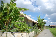 f:id:asacafe:20120828194602j:image