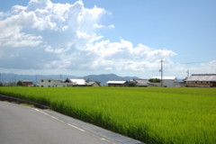 f:id:asacafe:20120828194625j:image
