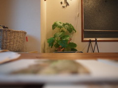 f:id:asacafe:20120829224134j:image