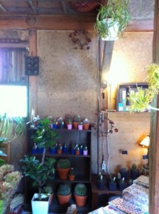 f:id:asacafe:20121020074945j:image