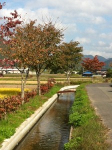 f:id:asacafe:20121020074948j:image