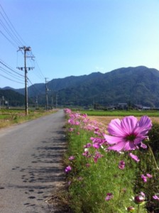 f:id:asacafe:20121021041943j:image