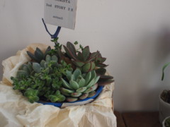 f:id:asacafe:20130404115748j:image