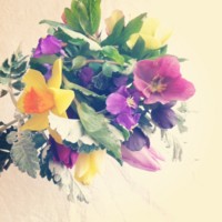 f:id:asacafe:20130406025711j:image