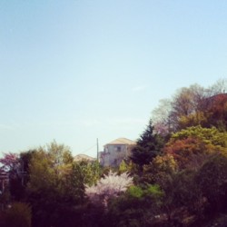 f:id:asacafe:20130411014932j:image:left