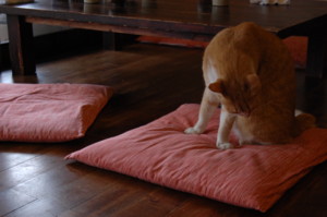 f:id:asacafe:20130501125122j:image
