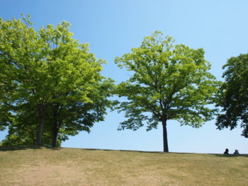 f:id:asacafe:20130516101307j:image