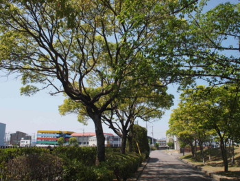f:id:asacafe:20130516101312j:image