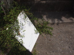 f:id:asacafe:20130726232241j:image