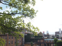 f:id:asacafe:20130802002718j:image