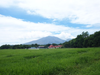 f:id:asacafe:20130807010818j:image