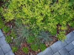 f:id:asacafe:20140619002743j:image