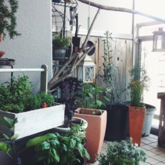 f:id:asacafe:20140627110307j:image