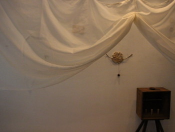 f:id:asacafe:20140718104752j:image