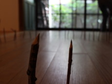 f:id:asacafe:20140718104755j:image