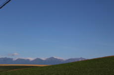 f:id:asacafe:20140811074113j:image