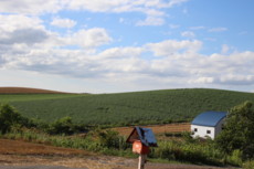 f:id:asacafe:20140811075712j:image