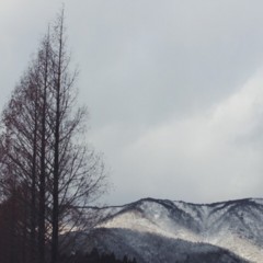 20160219104239