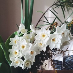 f:id:asacafe:20160222094820j:image