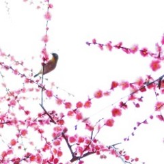 20160303192715