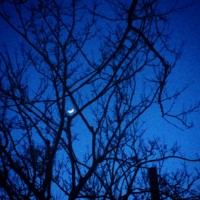 f:id:asacafe:20160401110341j:image