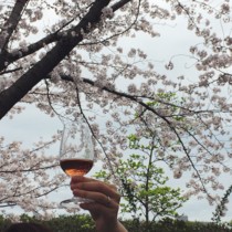 f:id:asacafe:20160407014905j:image