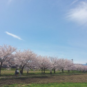 20160408171018