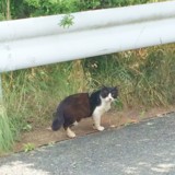f:id:asacafe:20160603175118j:image