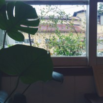 f:id:asacafe:20161202110528j:image