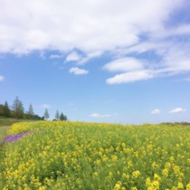 f:id:asacafe:20170425103313j:image