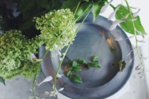 f:id:asacafe:20170628102550j:image