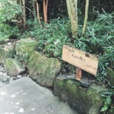 f:id:asacafe:20170927165557j:image