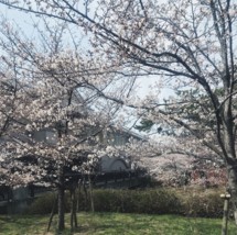 20180404124628