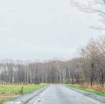 f:id:asacafe:20180522095419j:image:right f:id:asacafe:20180522095419j:image:right