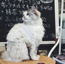 20180523065108
