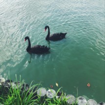 f:id:asacafe:20180828213042j:image:right