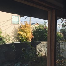 f:id:asacafe:20181114092002j:image