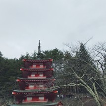 f:id:asacafe:20181212231903j:image