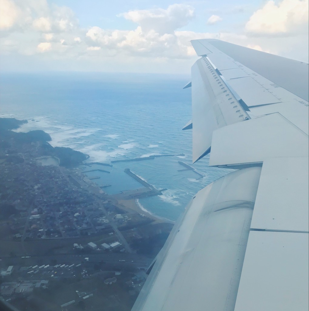 f:id:asacafe:20190130163149j:plain f:id:asacafe:20190130163149j:plain