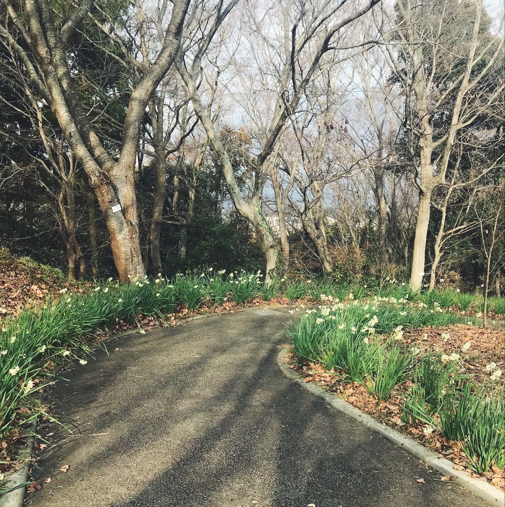 f:id:asacafe:20190131013619j:plain f:id:asacafe:20190131013619j:plain