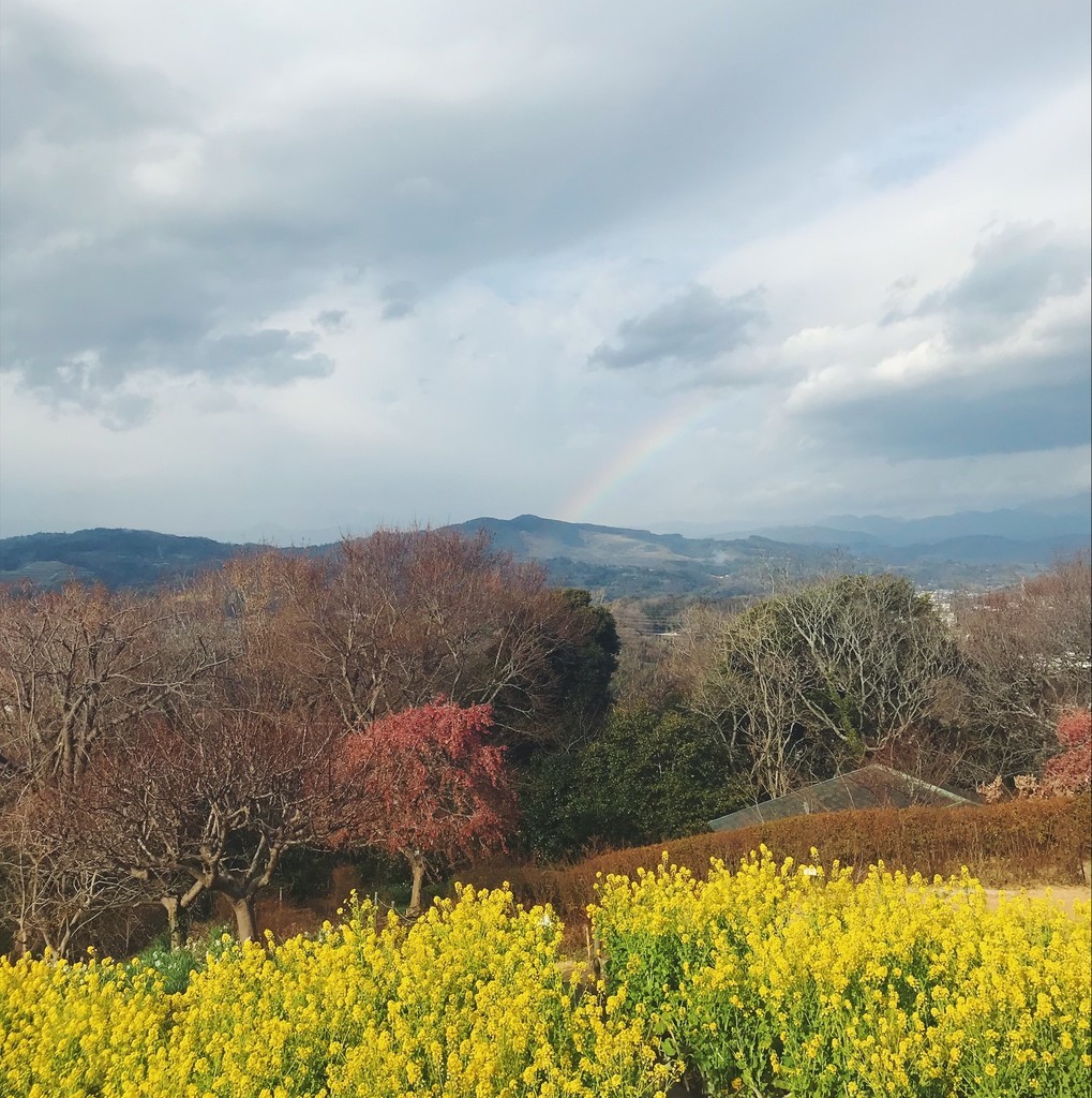 f:id:asacafe:20190131013726j:plain f:id:asacafe:20190131013726j:plain
