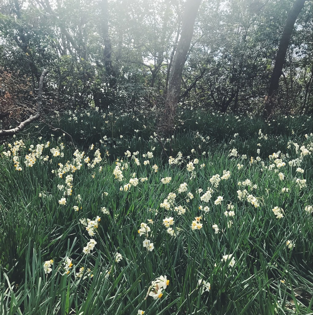 f:id:asacafe:20190131013757j:plain f:id:asacafe:20190131013757j:plain