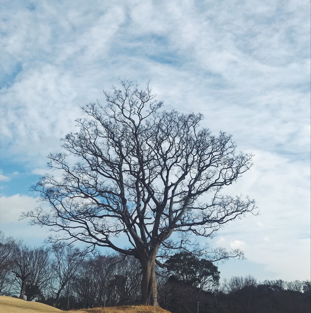 f:id:asacafe:20190131013833j:plain f:id:asacafe:20190131013833j:plain
