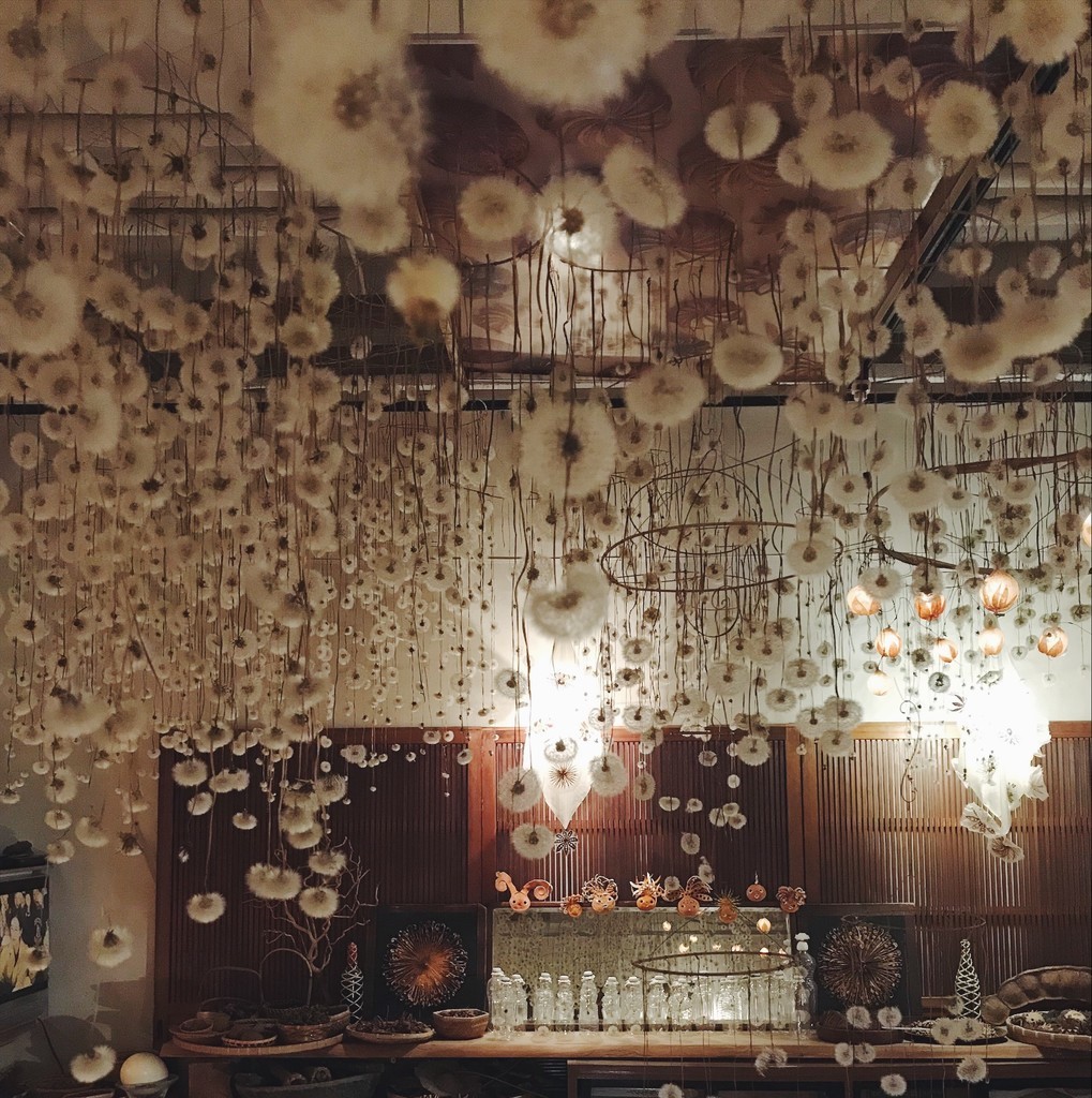 f:id:asacafe:20190211033057j:plain f:id:asacafe:20190211033057j:plain