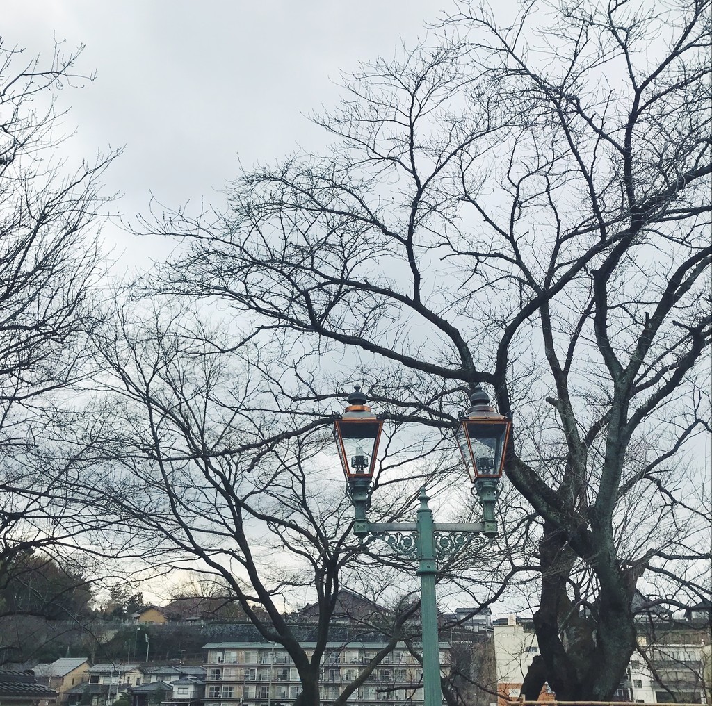 f:id:asacafe:20190211085824j:plain f:id:asacafe:20190211085824j:plain
