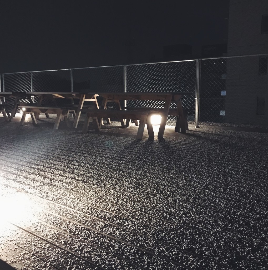 f:id:asacafe:20190211093129j:plain f:id:asacafe:20190211093129j:plain
