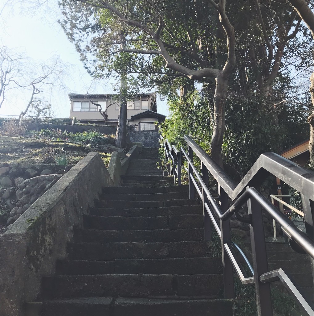 f:id:asacafe:20190213045002j:plain f:id:asacafe:20190213045002j:plain