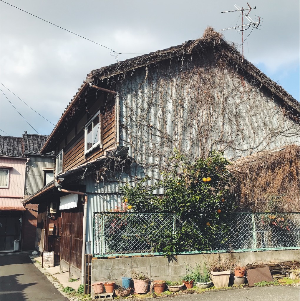 f:id:asacafe:20190213045101j:plain f:id:asacafe:20190213045101j:plain