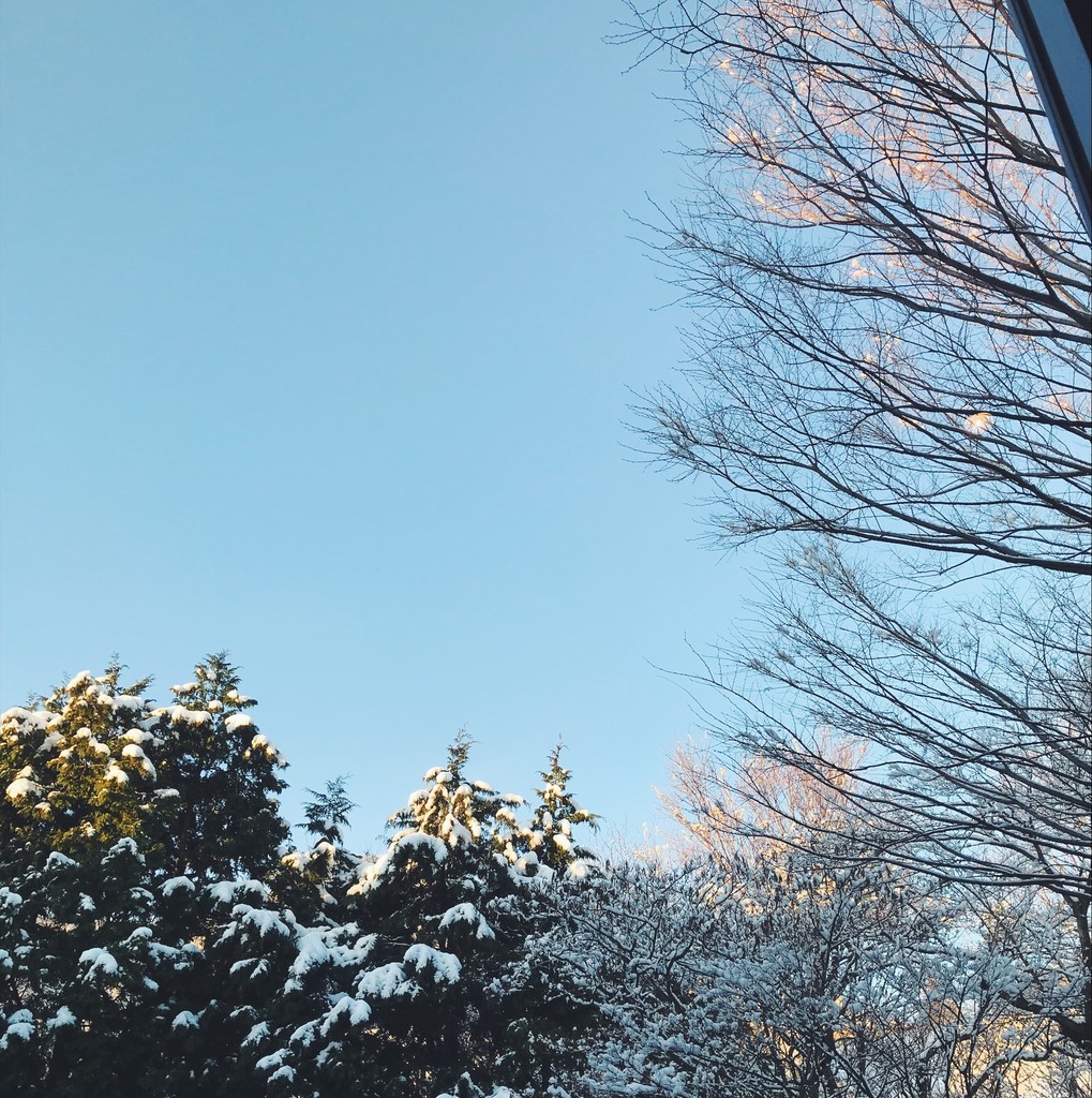 f:id:asacafe:20190215112055j:plain f:id:asacafe:20190215112055j:plain