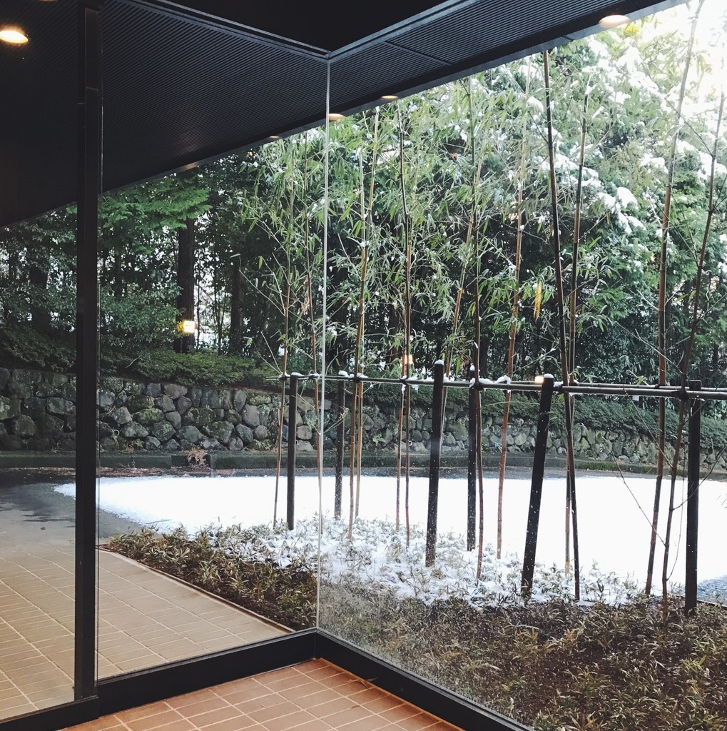 f:id:asacafe:20190215112436j:plain f:id:asacafe:20190215112436j:plain